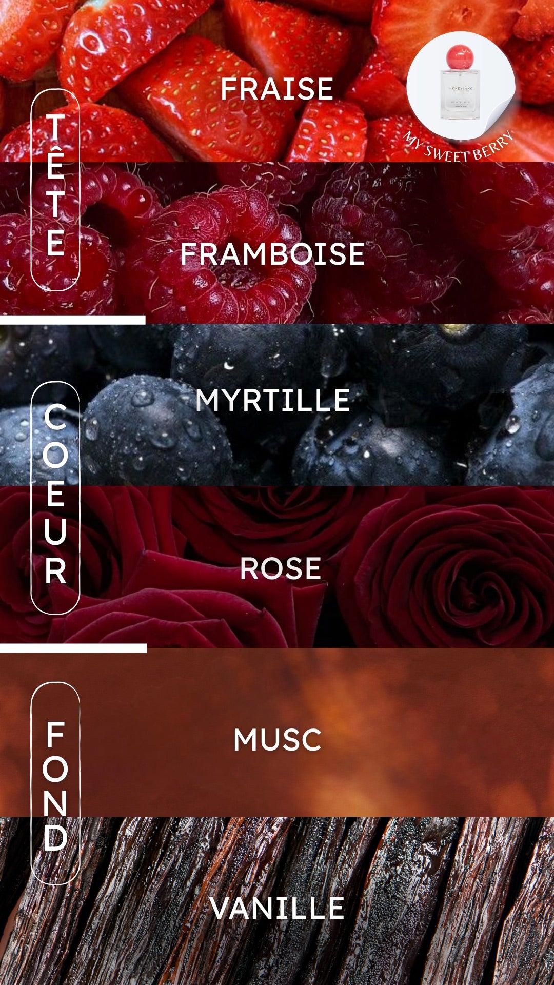 Le Duo GOURMAND - Parfums