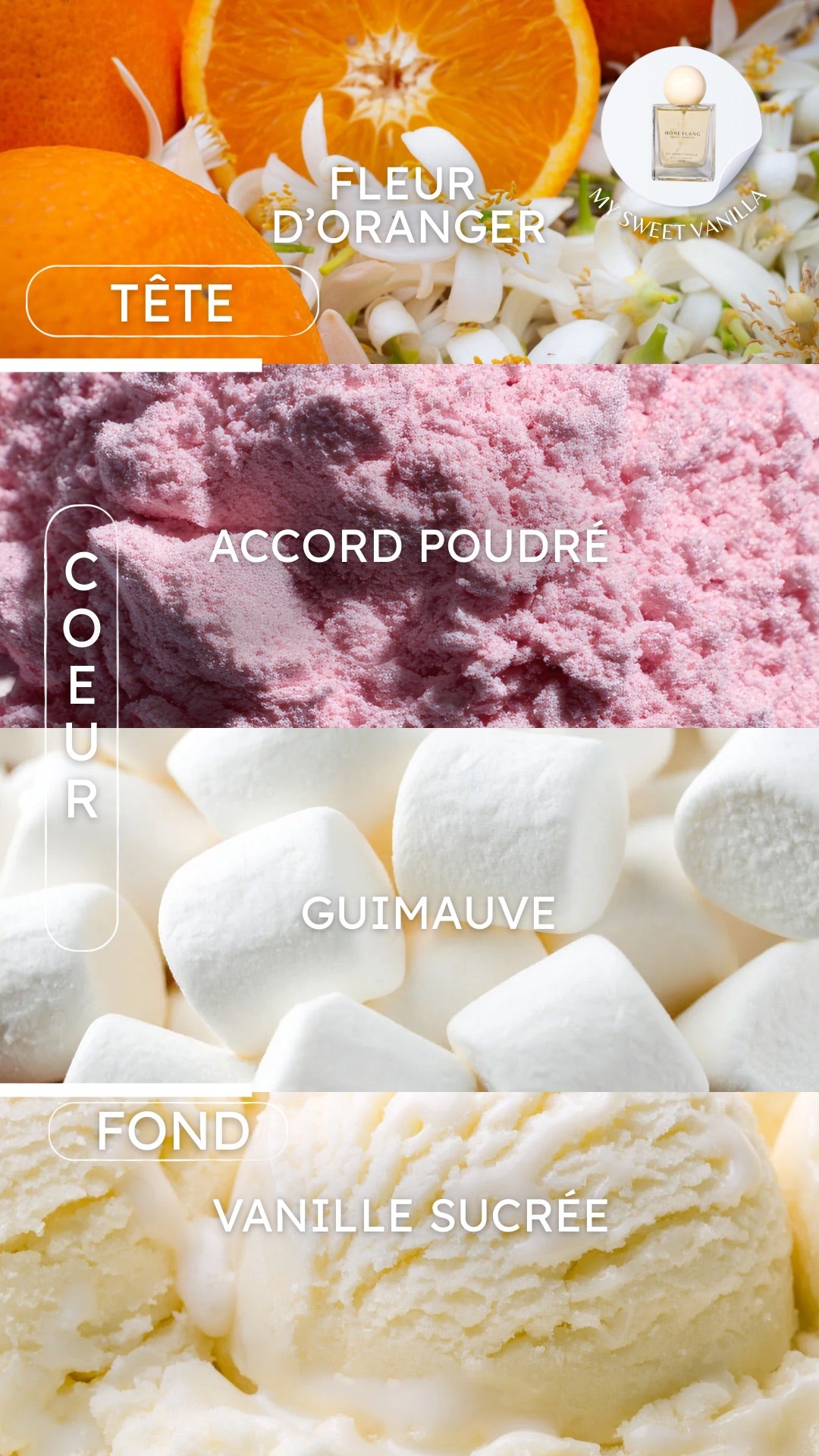Le Duo GOURMAND - Parfums